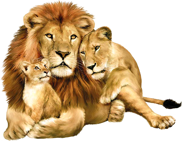 lion.png